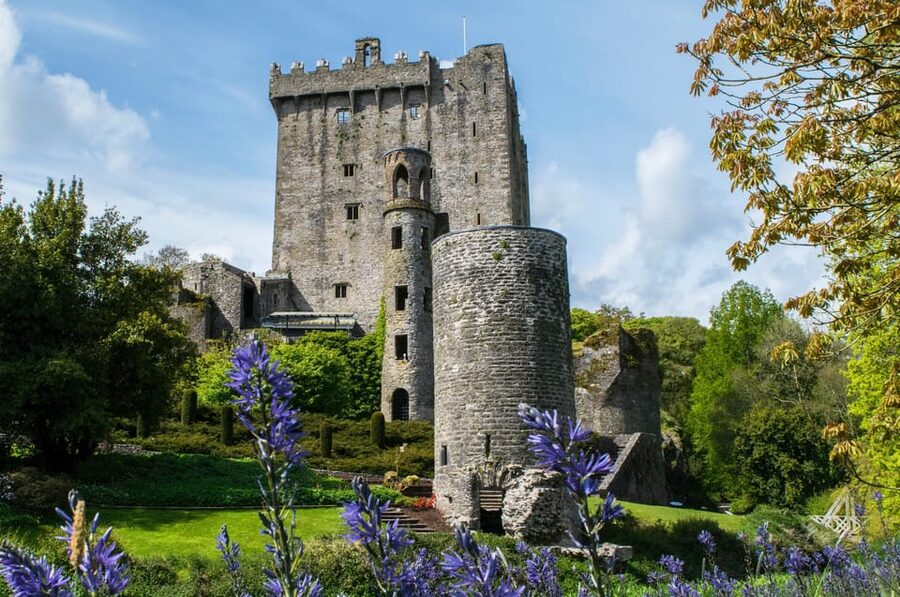 Blarney Castle: Private Guided Day Tour from Dublin - Cork city, the English Market, and a change of pace