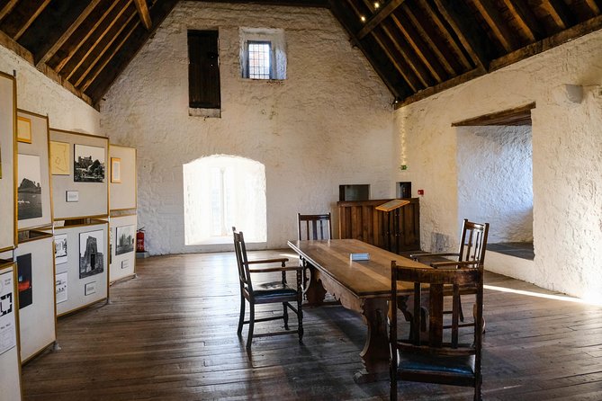 Blarney, Rock of Cashel & Cahir Castles Day Tour From Dublin - The guide can make or break the long drive