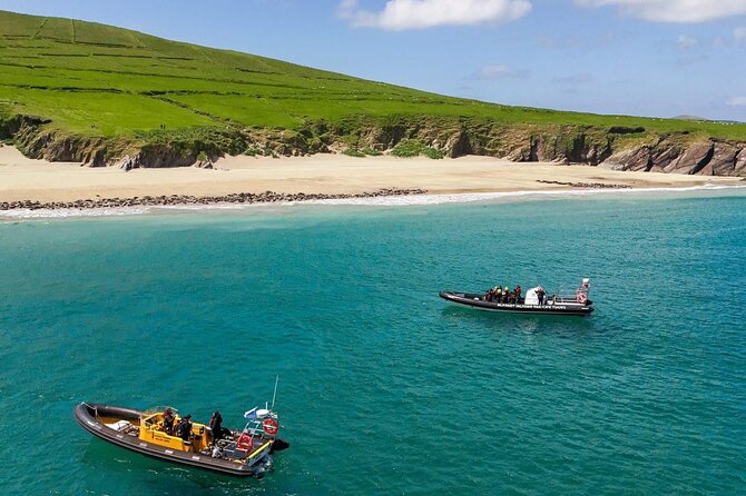 Blasket Island Sea Life Rib Tour, - From Farrannakilla into Dingle Bay