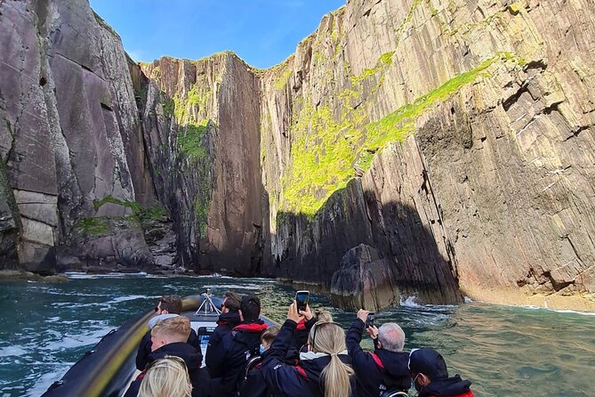 Blasket Island Sea Life Rib Tour, - Wildlife around Dingle Bay