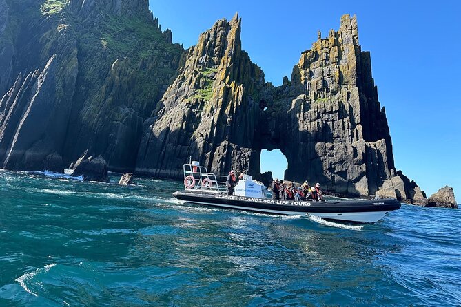 Blasket Island Sea Life Rib Tour, - Who should book this Dingle excursion?