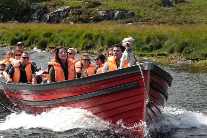 Boat Only Ticket (Walk the Gap of Dunloe) - A 90-minute ride through the Lakes of Killarney