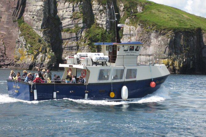 Boat Tour of Dingle Peninsula - Quick take: what makes this Dingle cruise worth your time