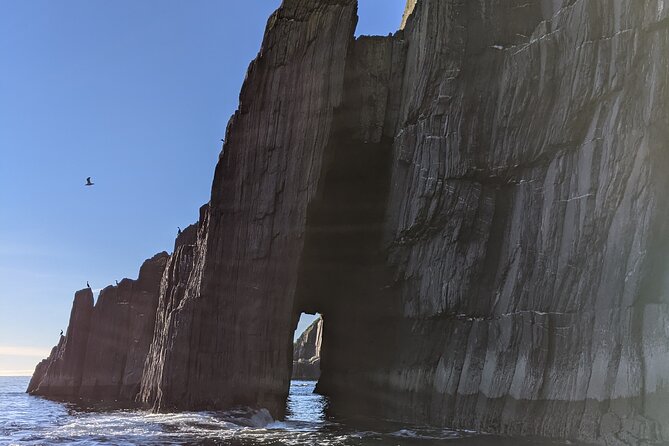 Boat Tour of Dingle Peninsula - Is $20.57 a good price for Dingle?