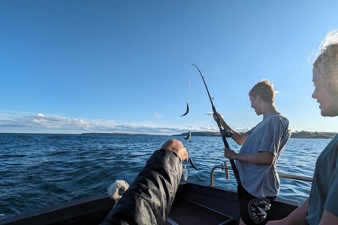 Boat Tour of Kinsale Harbour and Bandon River - Key points at a glance