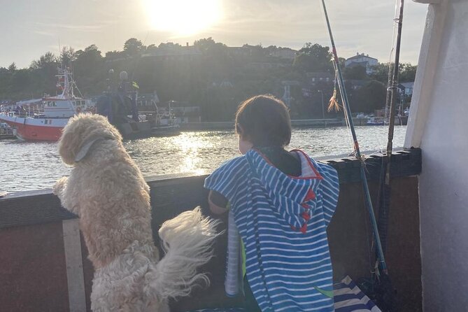 Boat Tour of Kinsale Harbour and Bandon River - Meeting at Food UPier Road in Kinsale