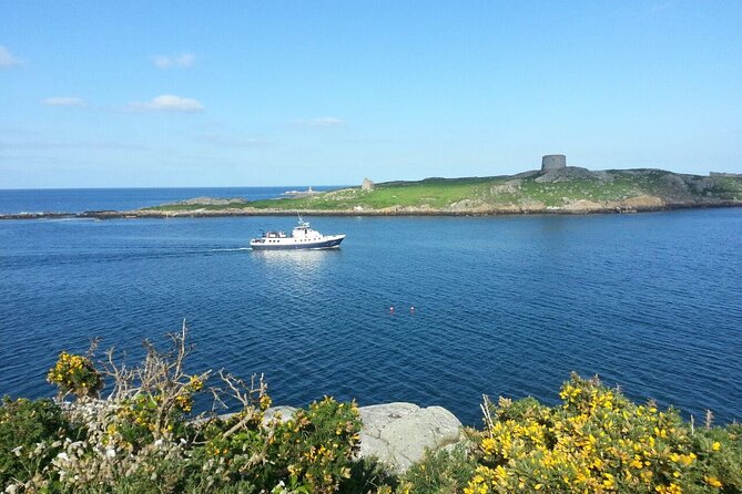 Boat Trip from Dun Laoghaire to Howth - Arriving at Howth Harbour with a chance to spot seals