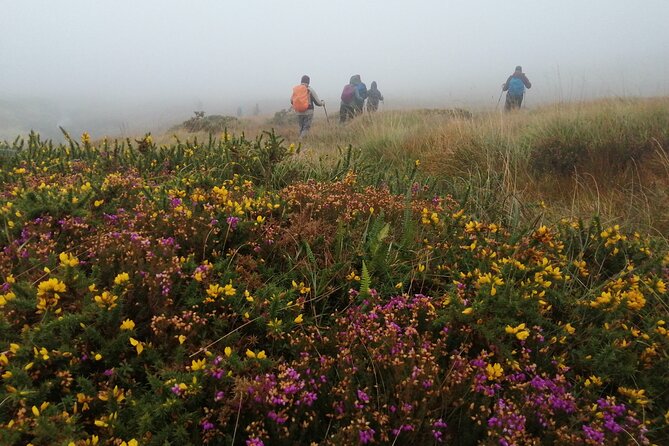 Bog Safari Hike - Wide views along the Wild Atlantic Way
