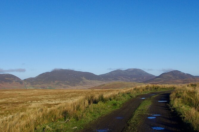 Bog Safari Hike - What the two-hour format really gives you