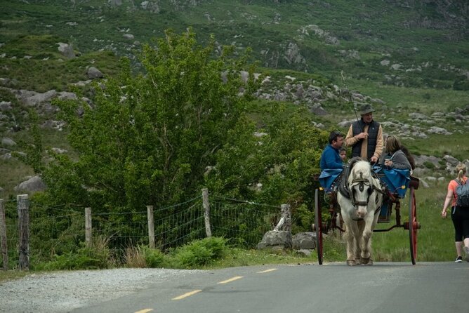 Bus, Boat & Jaunting Cart Tour (Jaunting Cart Paid Separately) - Guides can shape the whole day