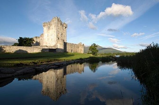 Bus & Boat Tour - Key points to know before booking