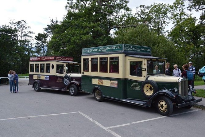 Bus & Boat Tour - Why this Killarney combination works