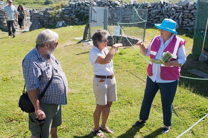 Caherconnell Fort & Sheepdog Demonstrations - Starting at the ring fort