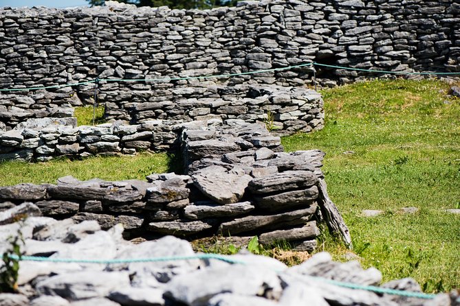 Caherconnell Fort & Sheepdog Demonstrations - Who will enjoy this most?