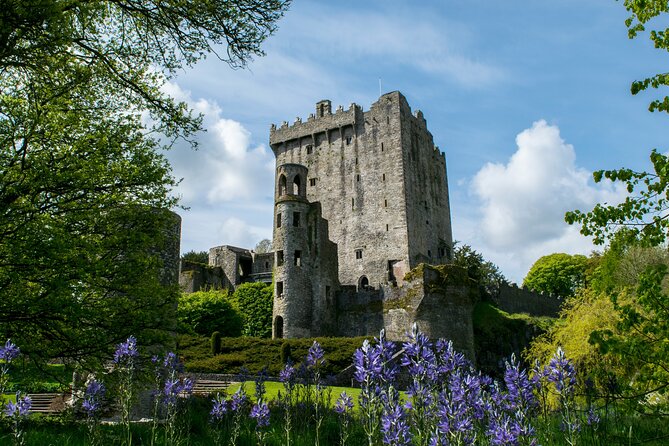 Chauffeur Blarney and Cork Private Day Tour from Dublin - What this private southern Ireland tour is really offering