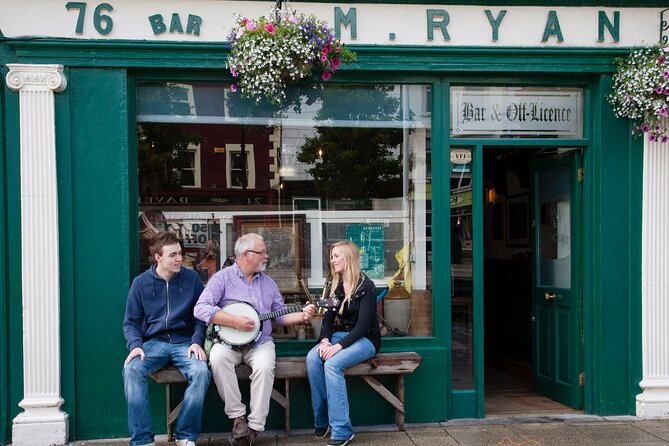 Chauffeur Blarney and Cork Private Day Tour from Dublin - How the private vehicle changes the day