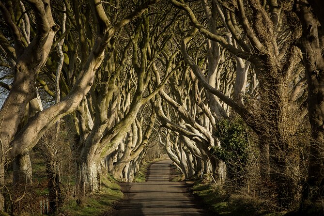 Chauffeur Giants Causeway & Belfast Private Day Tour From Dublin - Ballintoy is the right place to pause for lunch