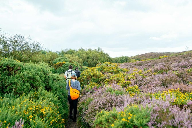 City Explorer: Howth Private Day Trip - Why Howth makes a good six-hour escape