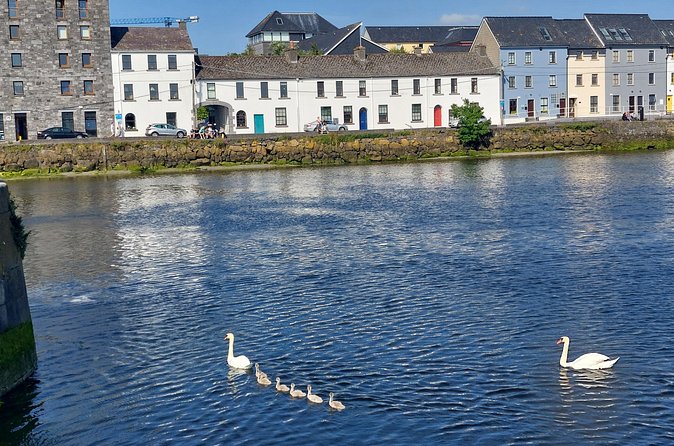 Claddagh Guided Walking Tour in Galway with Free Claddagh Ring - Price, pace, and who will enjoy it most