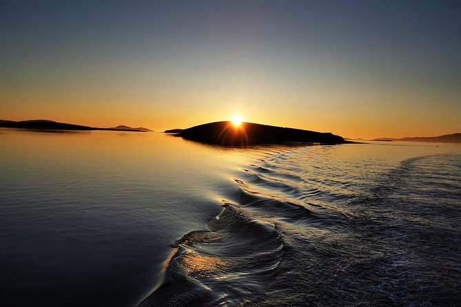 Clew Bay Cruise, Westport ( 90 minutes ) - The flooded drumlin islands of southern Clew Bay