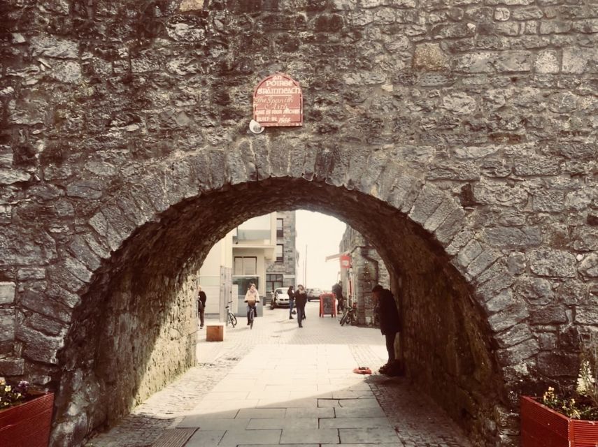 Cliffs of Moher and Galway Tour in Italian or Spanish - Who should book this day trip?