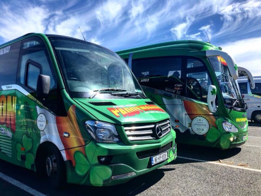 Cliffs of Moher and More: Full-Day Tour from Cork - Ninety minutes at the Cliffs of Moher