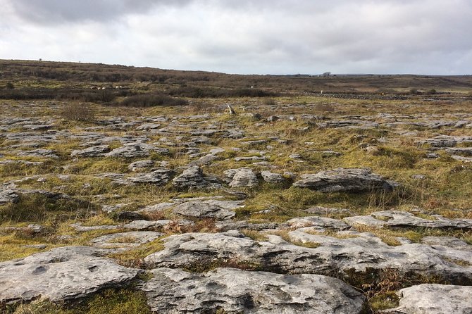 Cliffs of Moher and the Burren Private Tour - St. Brigid’s Well near Liscannor