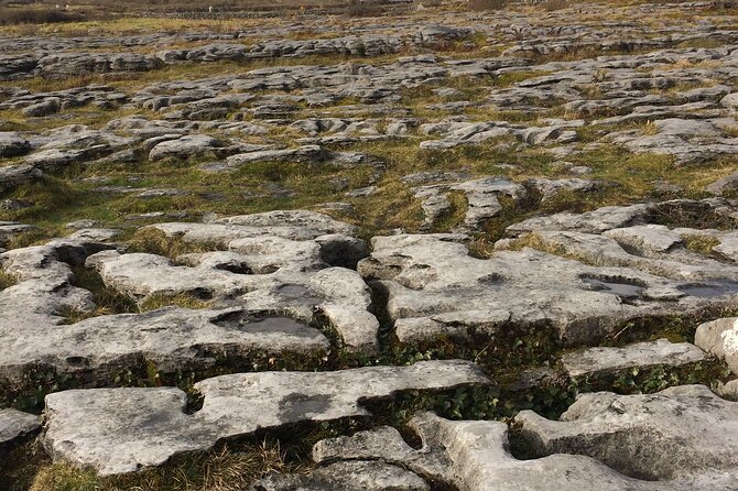 Cliffs of Moher and the Burren Private Tour - One hour at the Cliffs of Moher