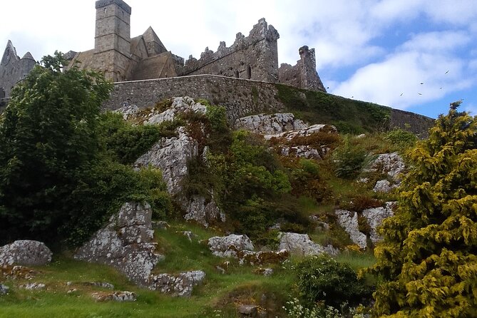 Cliffs of Moher & Bunratty Castle Day Tour - Why this private County Clare trip makes sense