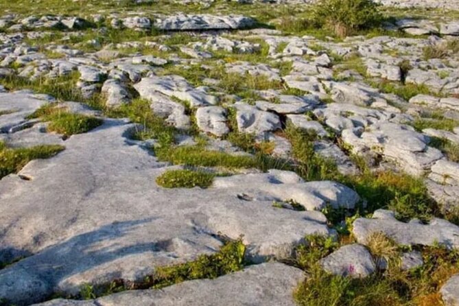 Cliffs of Moher, Burren and Galway 2 Days Private Chauffeur Tour - Bunratty Castle brings in medieval Clare