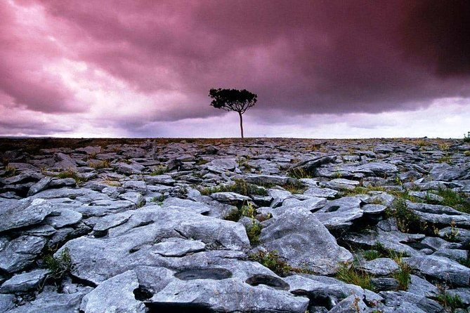 Cliffs of Moher, Burren and Wild Atlantic Way day tour from Galway city - Why this Galway day trip works well