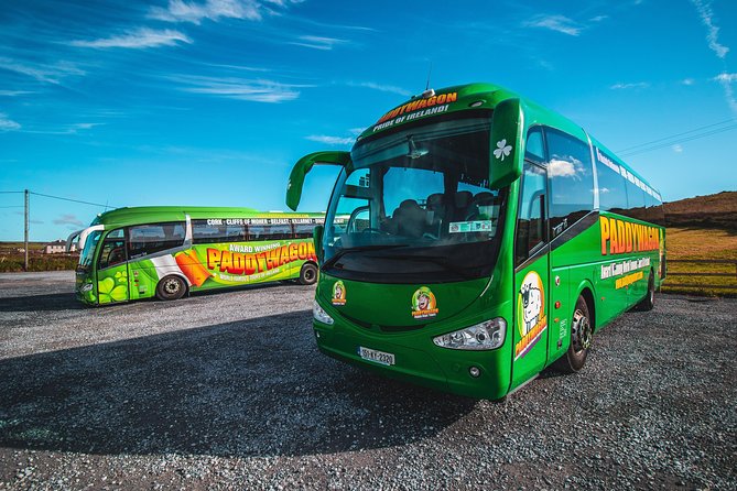 Cliffs of Moher Day Tour from Limerick: Wild Atlantic Way - The Cliffs of Moher: 90 minutes above the Atlantic