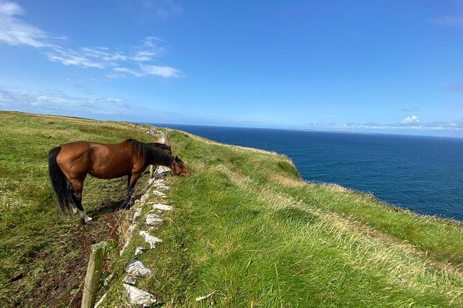 Cliffs of Moher Hiking Tour from Galway - Small Group - Why this Cliffs of Moher tour feels different