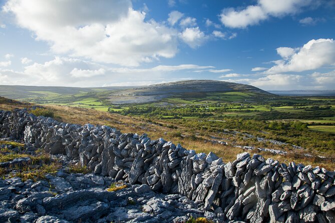 Cliffs of Moher Private Day Tour from Galway - What the $785.41 group price really buys