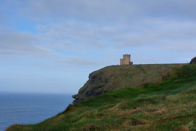 Cliffs of Moher & Sheepdog Demonstrations from Galway - Kinvara and a roof worth noticing