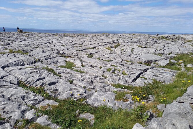Cliffs of Moher & Sheepdog Demonstrations from Galway - Poulnabrone Dolmen in the Burren