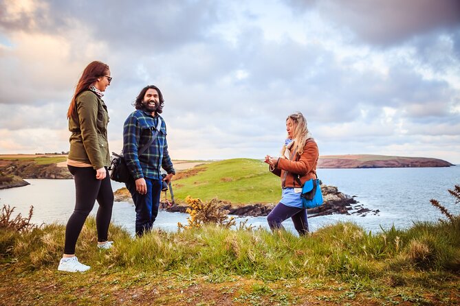 Coastal Foraging and Folklore Tour - Sandycove Slipway: Start Where the Shore Changes
