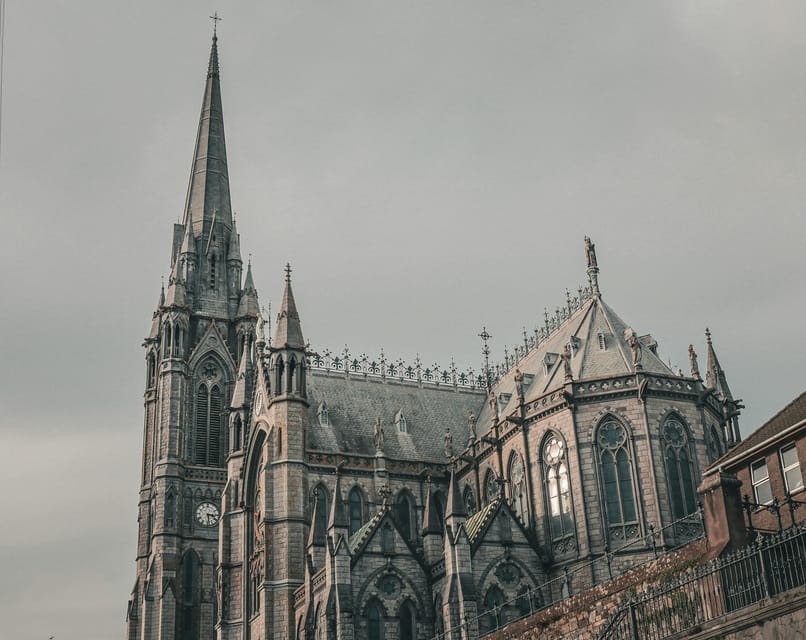 Cobh/Cork: Blarney Castle, Kinsale & Cork City Shore Tour - Key points at a glance
