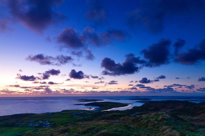 Connemara & Inishturk Island wildlife watching cruise. Private guided Full-day - Key points at a glance