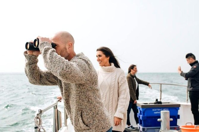 Connemara & Inishturk Island wildlife watching cruise. Private guided Full-day - Watching the Connemara coast from a private boat