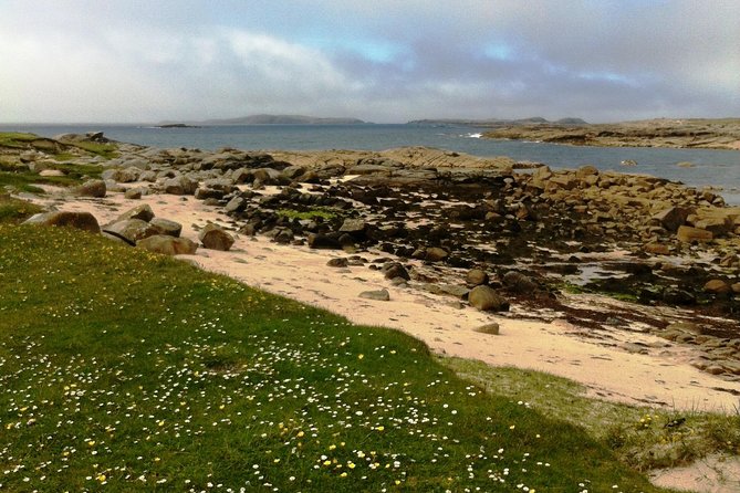Connemara & Inishturk Island wildlife watching cruise. Private guided Full-day - Inishturk, Inishbofin, and an important route check