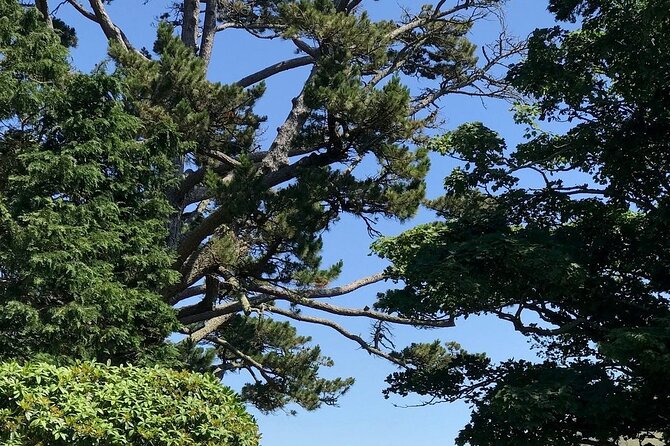 Connemara, Kylemore Abbey and Wild Atlantic Way tour from Galway - Screebe Waterfall and the first Atlantic views