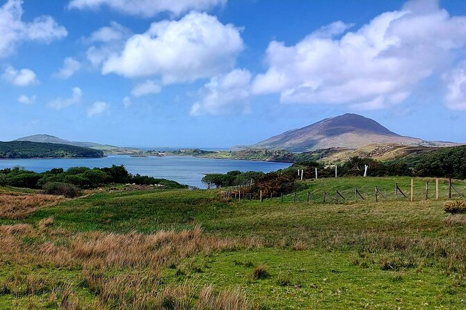 Connemara Sheep Farm experience & Kylemore Abbey by Lux Limousine - The Killary Sheep Farm experience
