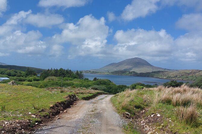 Connemara Sheep Farm experience & Kylemore Abbey by Lux Limousine - Price, admissions, and what you receive