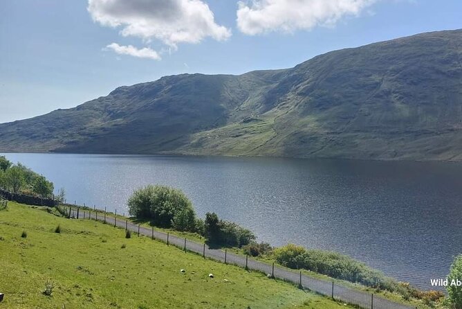 Connemara Sheep Farm experience & Kylemore Abbey by Lux Limousine - Who should book this day from Galway?