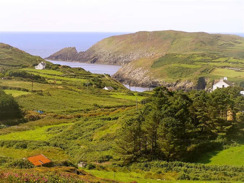 Cork: Fastnet Rock Lighthouse and Cape Clear Island Tour - Cape Clear Island and its old island life