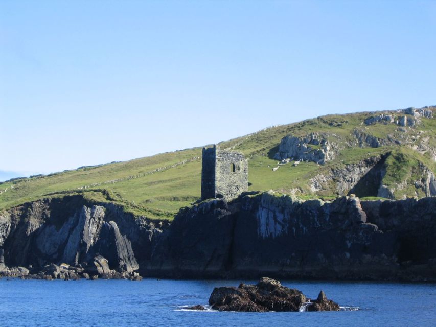 County Cork: Whale & Dolphin Watching Boat Trip - Key points to know before you go