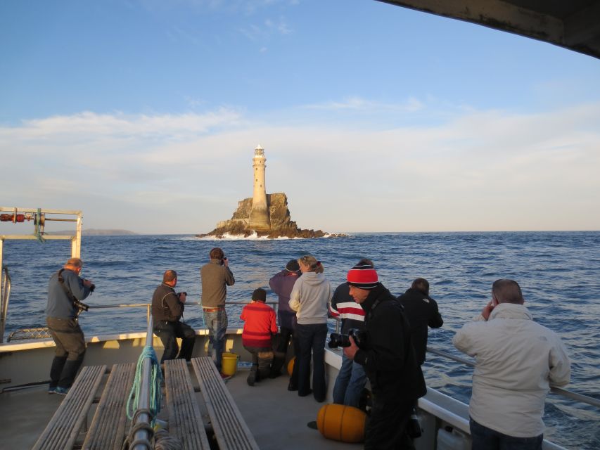 County Cork: Whale & Dolphin Watching Boat Trip - Practical planning for Baltimore