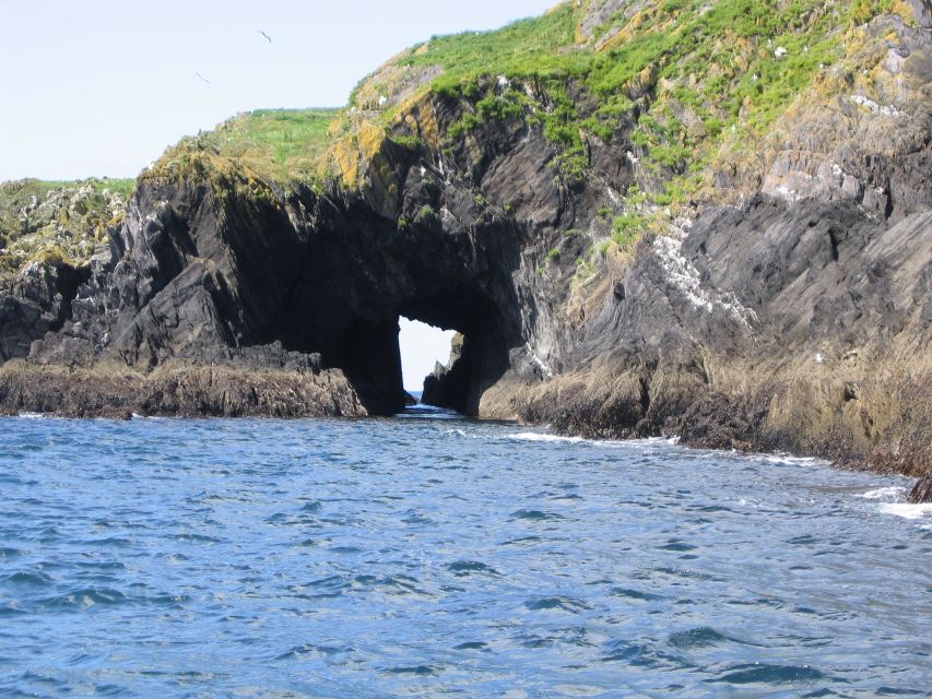 County Cork: Whale & Dolphin Watching Boat Trip - Why the boat setup matters on a windy Irish day