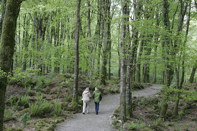Craggaunowen Admission Ticket - Why Craggaunowen makes a good history stop near Shannon